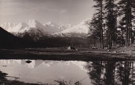 Blick auf Berninagruppe  1949