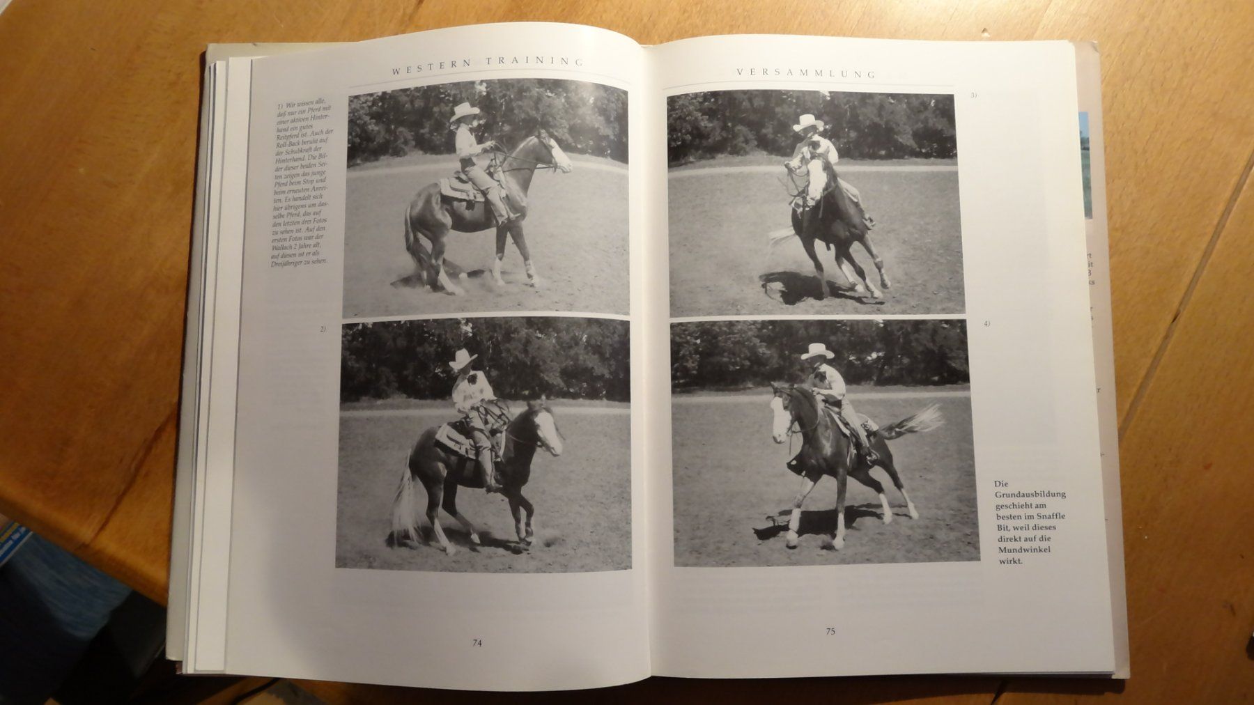 Bücher: Western Training Jack Brainard  141 Seiten ungebraucht – Neu (gemäss Beschreibung) aus Anwil von larks 7