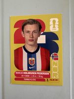 Panini Worldcup 2026 NOR 6