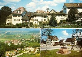 GRÜNINGEN Herrenbaumgarten, Flugaufnahme, Binzikon, Werbung