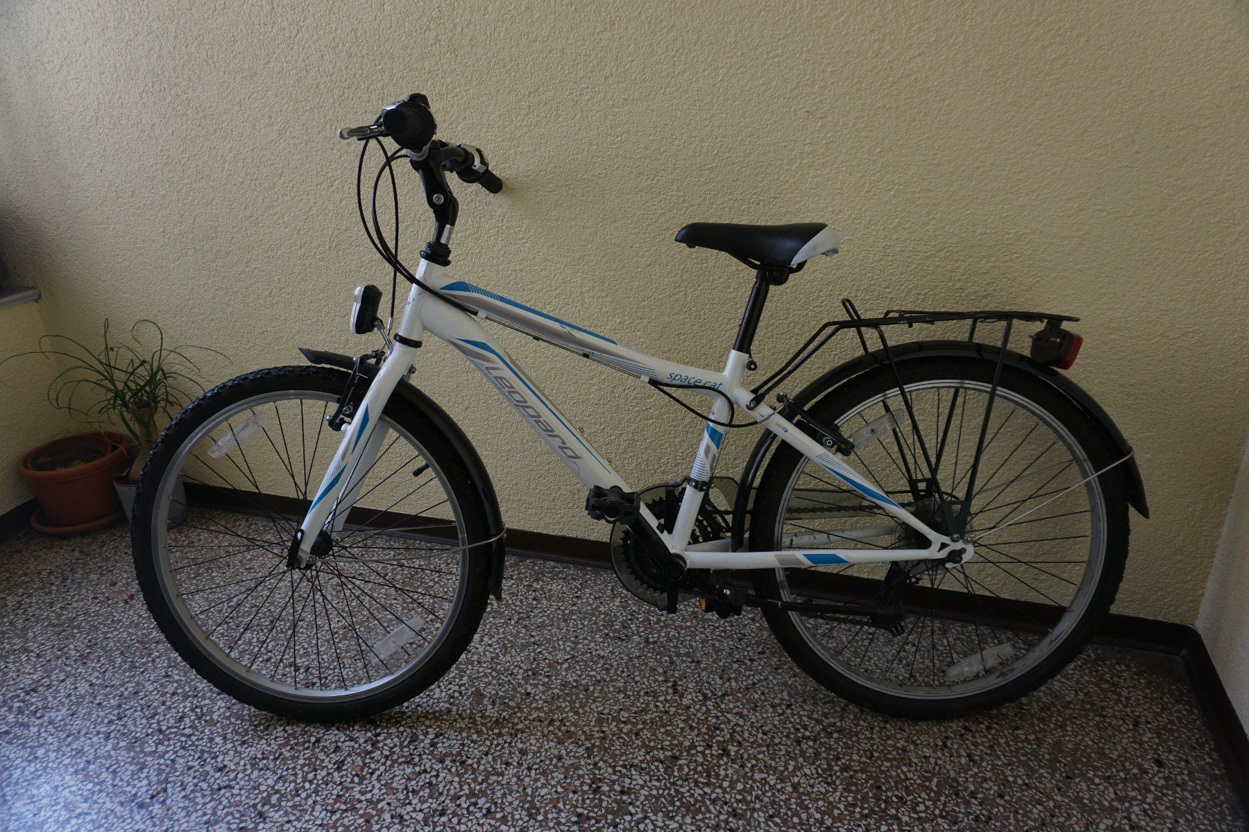 Leopard Biciclette: Fahrrad - Leopard Space Cat – Usato da Zürich venduto da einalemjena