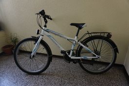 Fahrrad - Leopard Space Cat