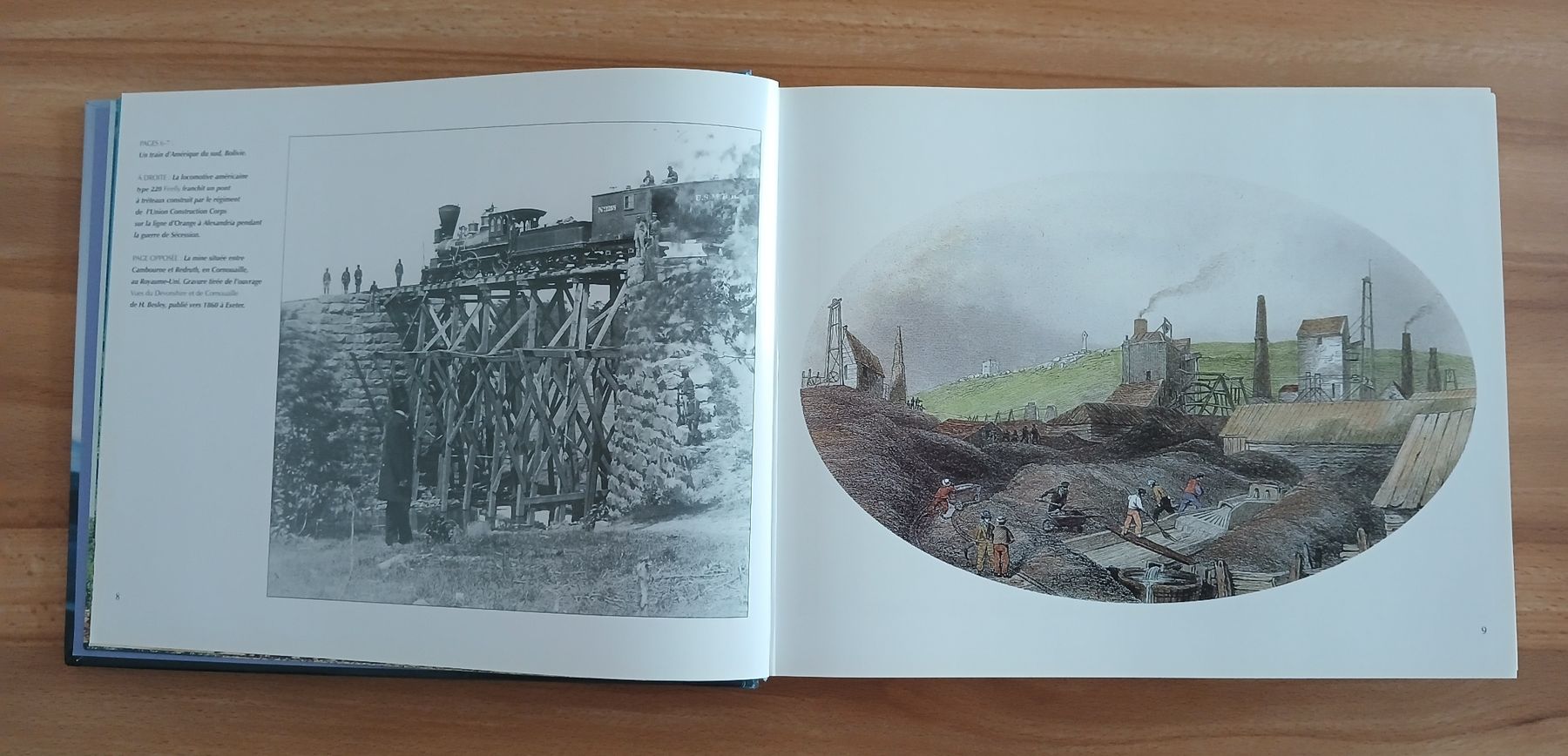 Libri: Le livre d'or des Trains – Usato da Le Sentier venduto da arc_2thy 2