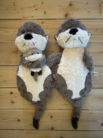 Nici süsse Otterfamilie☺️🦦