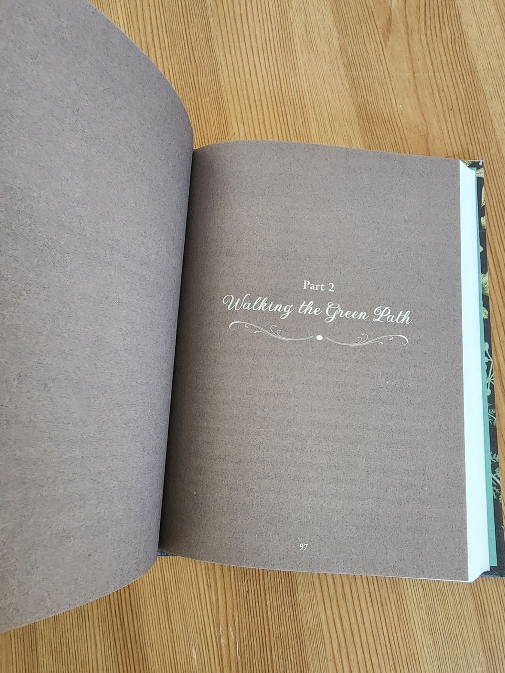 Libri: The Green Witch Buchmvon Arin Murphy Hiscock – Nuovo (secondo la descrizione) da Berneck venduto da erato6 3