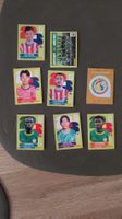 panini Stickers 