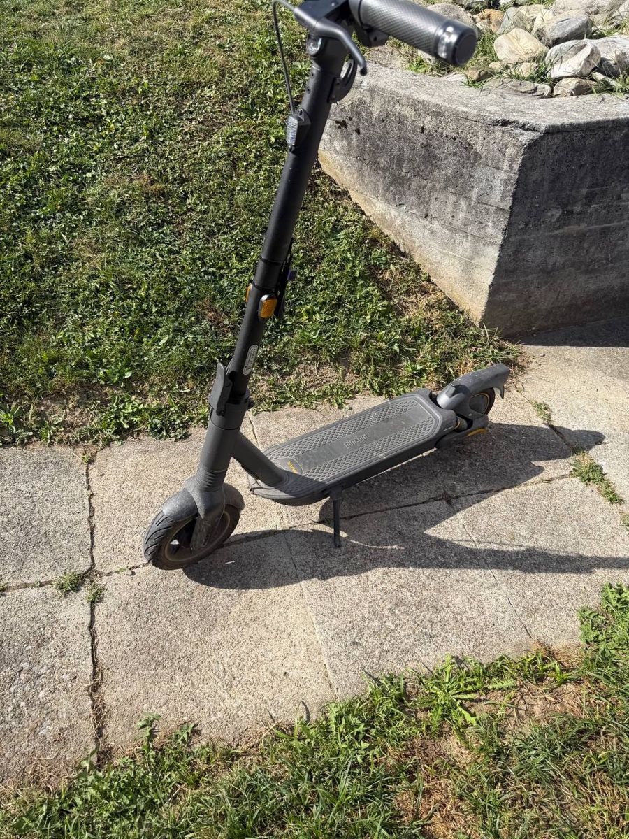Scooter: Ninebot – Usato da Altstätten SG venduto da ali_f7vk 1