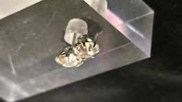 Ohrstecker Zirkonia 0,3cm