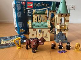 Harry Potter Lego 76387 Begegnung mit Fluffy