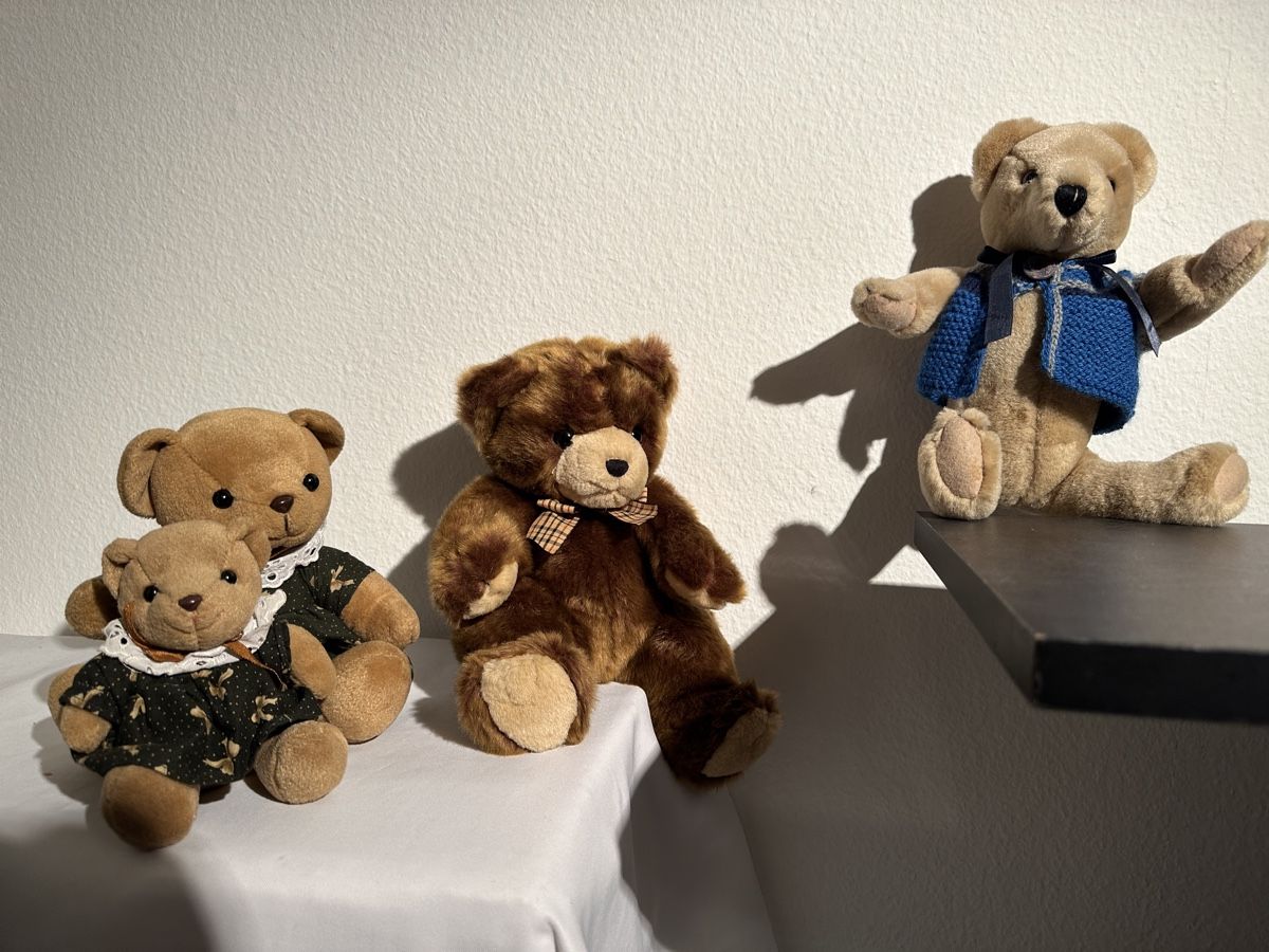 Jouets: Niedliche Teddybären – D'occasion à Therwil par jas_vpt8 4