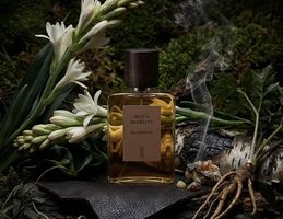 NICHE — EdP Nuit de Bakélite — Naomi Goodsir (decant)
