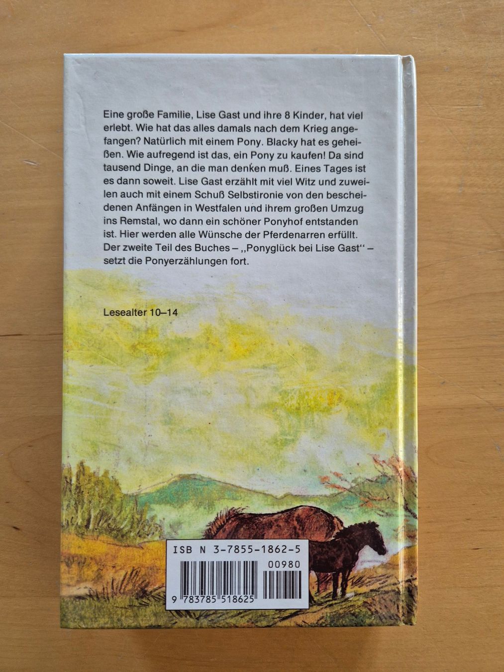 Bücher: Jugendbuch mit Pferden – Gebraucht aus Beromünster von nicolet78 1