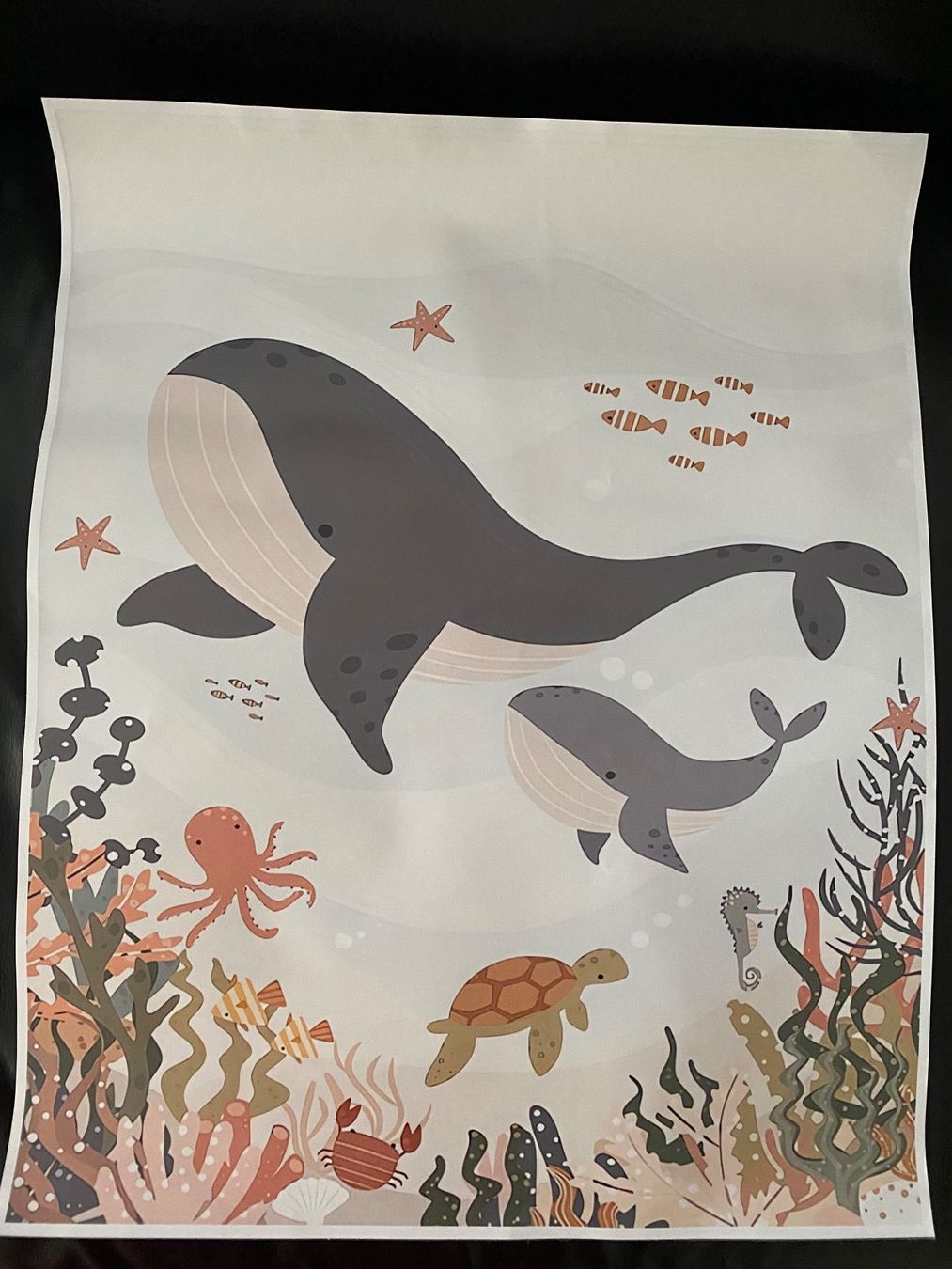 Foto & Immagini: Kinderzimmer Deko Poster Wale 40x50 cm – Usato da Bern venduto da Mondol