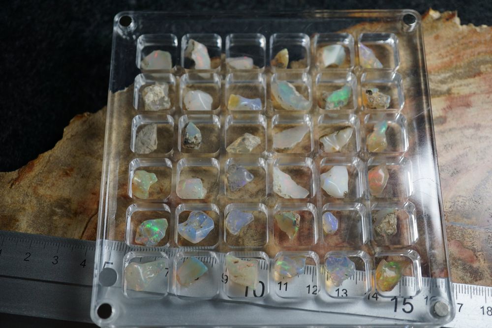 Opale 36 Stück im Sammler Display Roh Opal (Neu und originalverpackt ...