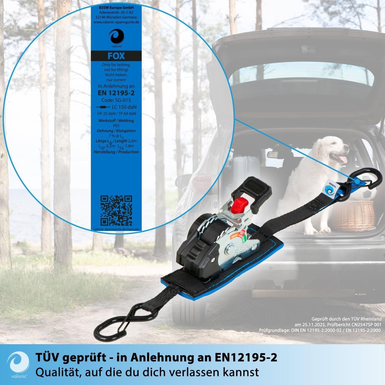Tutti gli attrezzi: Spanngurte Automatik 2m 2er Set 150kg Mini – Nuovo e nell'imballaggio originale da Suhr venduto da TradeMasters 2