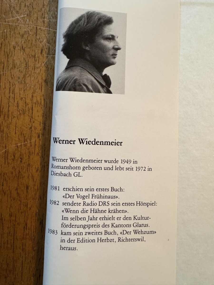 Libri: Bildband von Walter Dick & Werner Wiedenmeier Lithos – Usato da siebnen venduto da minte 2