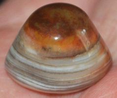 Cabochon L-5711 – Sulemani Hakik Achat Auge 34,20 Karat