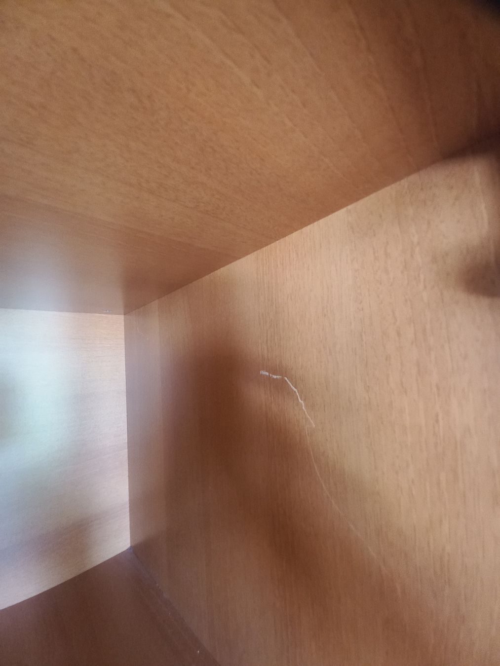 Armadi: Kinder Kleiderschrank Möbel Pfister Cilek – Usato da Herzogenbuchsee venduto da Rohrzange 6