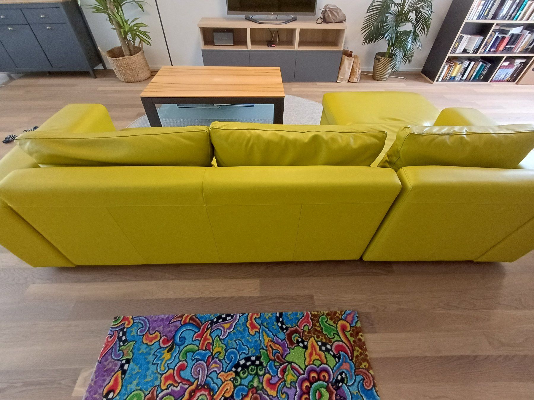 Sofas: Ledersofa – Gebraucht aus Wiesendangen von jan_jd8j 4