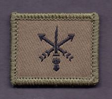 Armeeaufklärungsdetachement