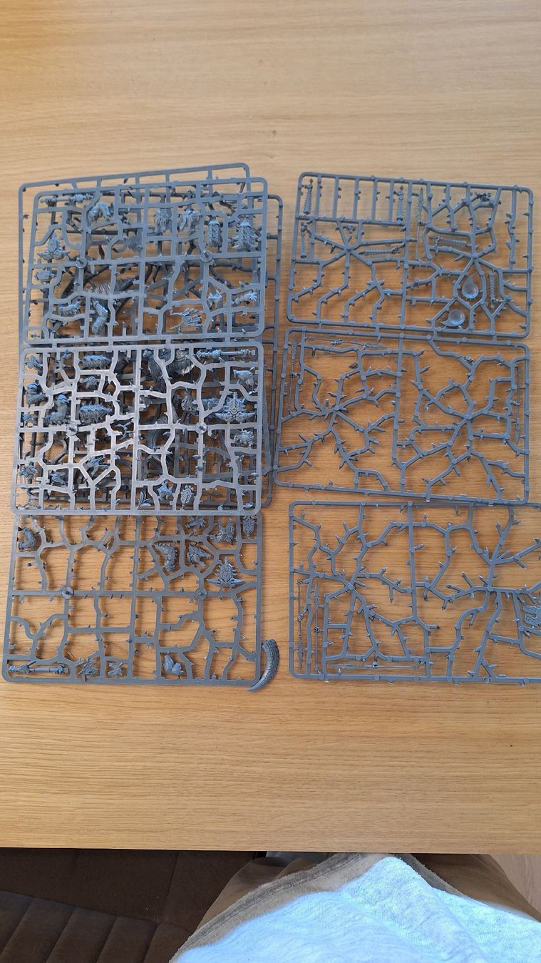 Spielzeuge: Lot de grappes Warhammer AoS et Old World – Gebraucht aus Meyrin von Alexdragon 8