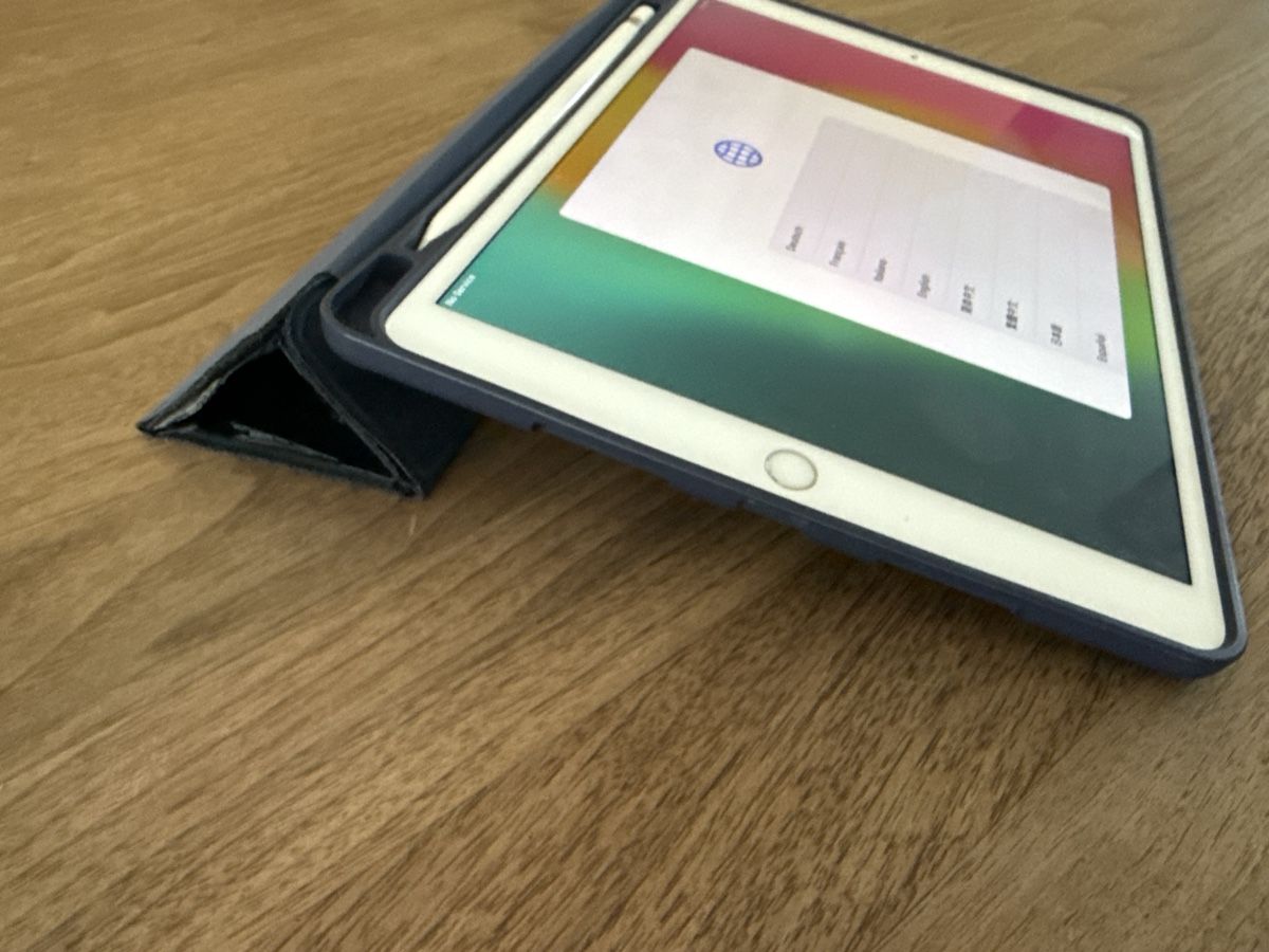 Apple Tablet PC: Apple iPad Pro mit Stift und Hülle – Usato da Rüti ZH venduto da Kiwi02 4