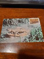 Venda Lwamondo 1992 Crocodiles Afrique du Sud! Rare! 51