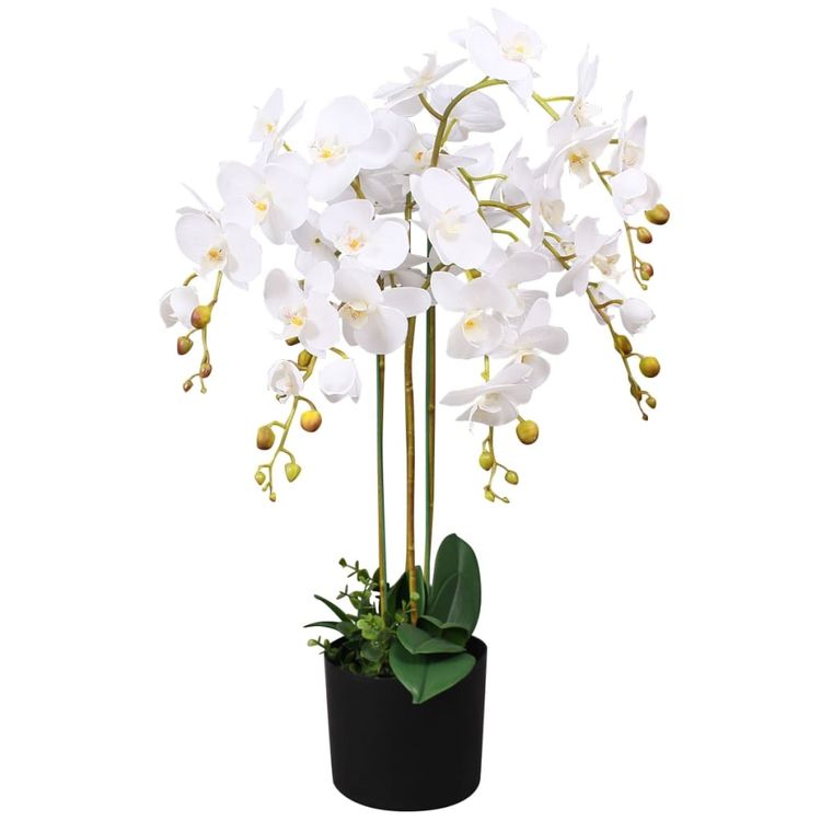 YS Künstliche Orchidee Mit Topf – Ca. 60 Cm Hoch, Kunstpflanze Zur Deko