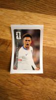 Coca Cola Panini 2026 CC12 Antonee Robinson