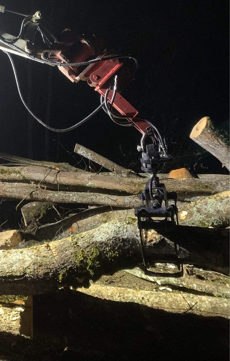 Pinze: Holzgreifer für Bagger – Usato da Schlans venduto da nAAtii 7