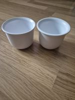 2 Blumentöpfe weiss
