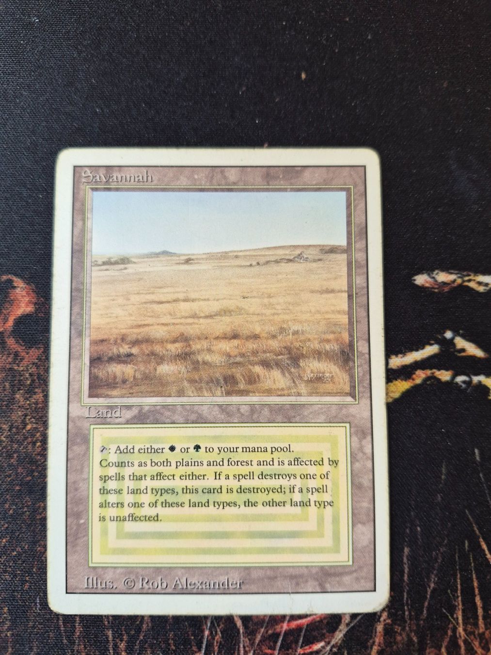 Magic The Gathering Carte collezionabili: Savannah – Usato da Gampelen venduto da sebest95