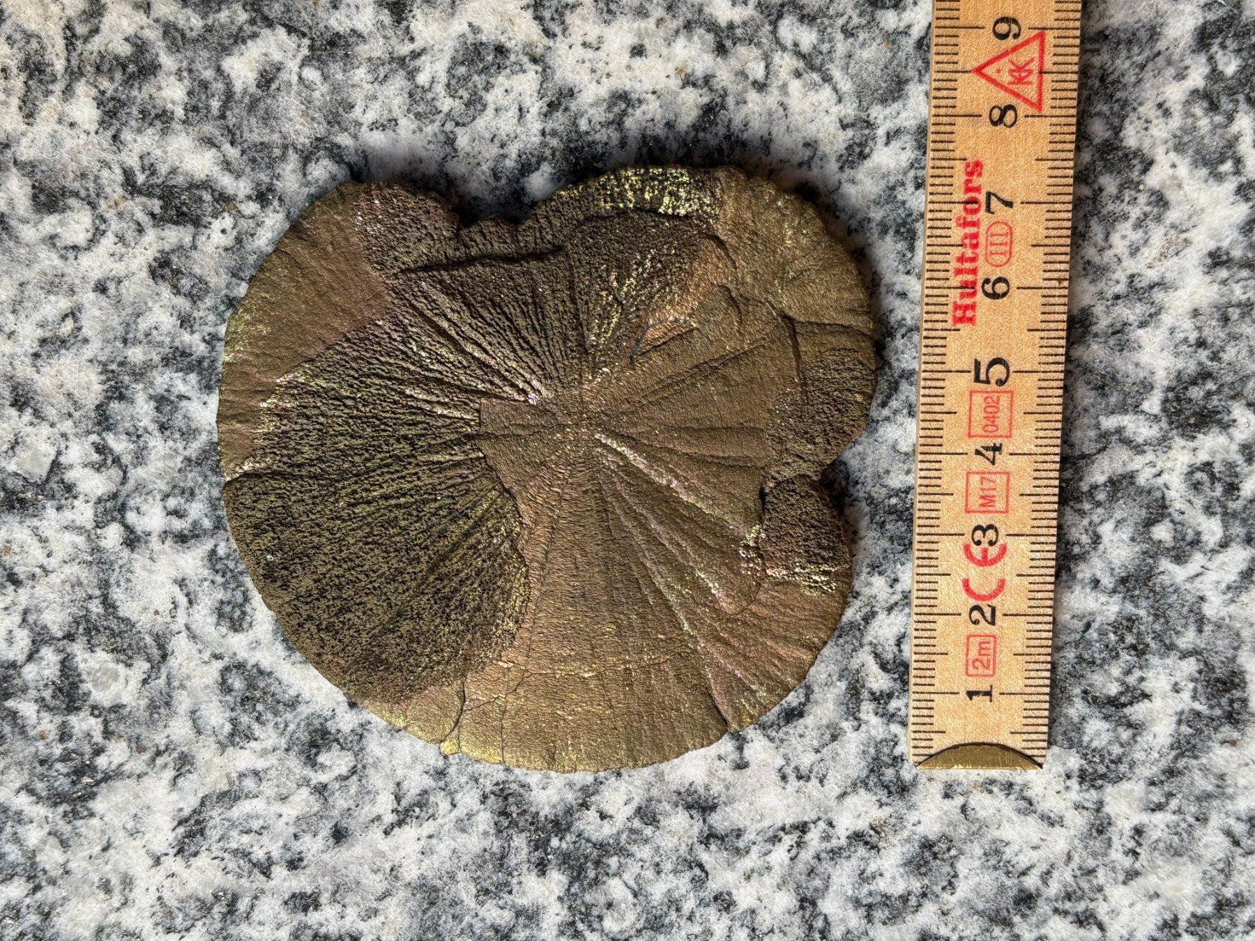 Minéraux & Lithothérapie: Schöne, intakte Pyrit Sonne ab 45.-- – Neuf (Voir description) à Täuffelen par opa_9xrt 3