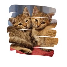 Profile image of yve_8rbj