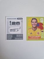 Panini Sticker COL15