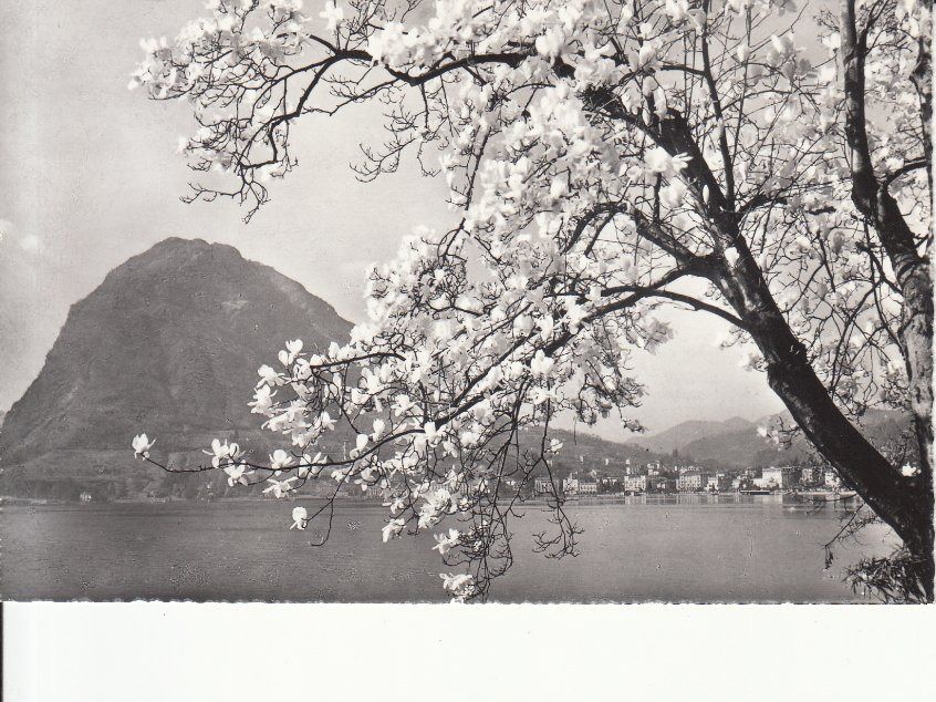 Cartoline postali: Lugano 1969 – Usato da Bürglen TG venduto da StampGraf