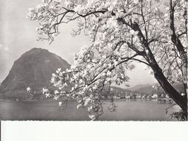 Lugano 1969