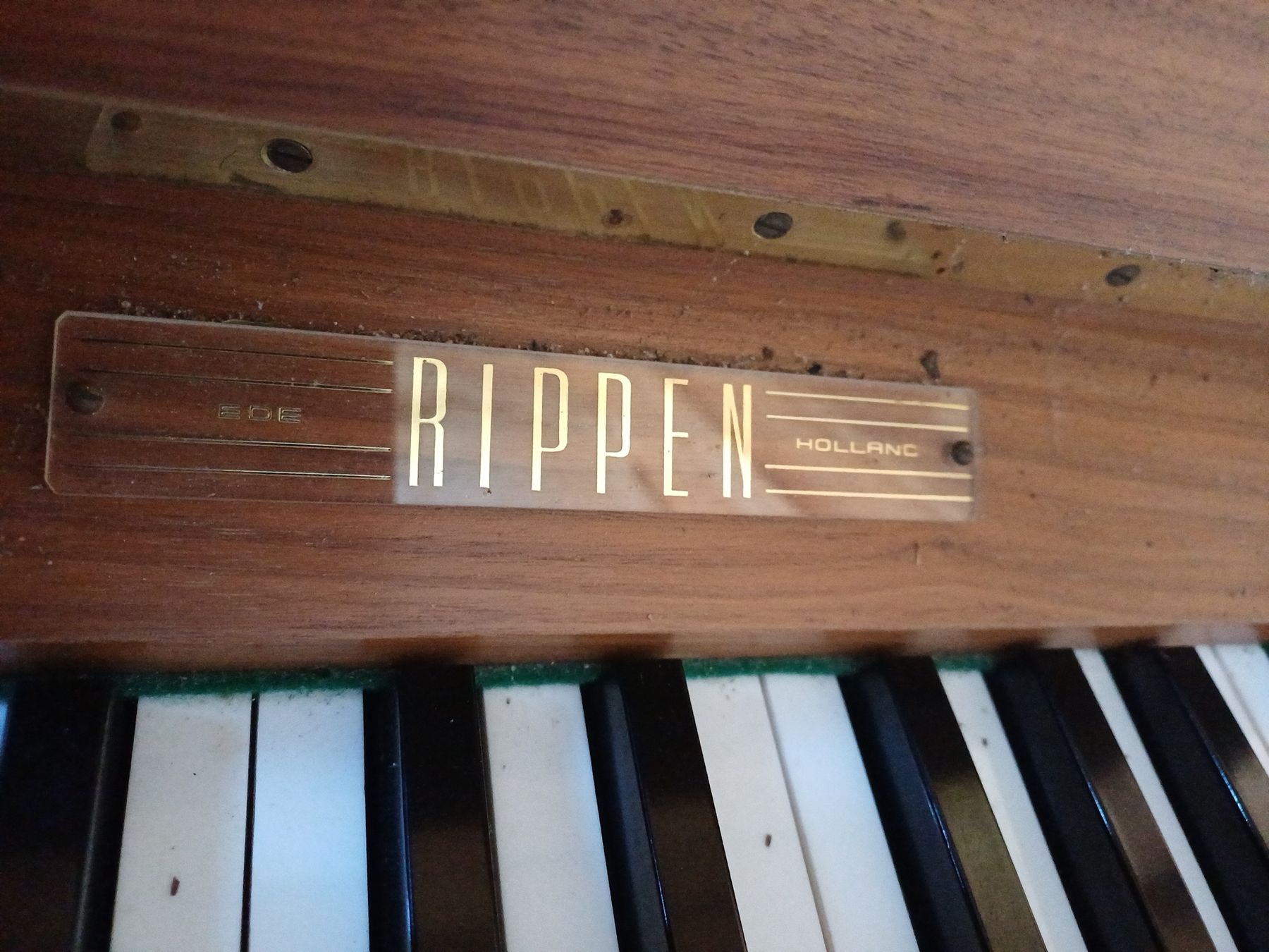 Musikinstrumente: Klavier von rippen – Gebraucht aus Chur von P88o 1