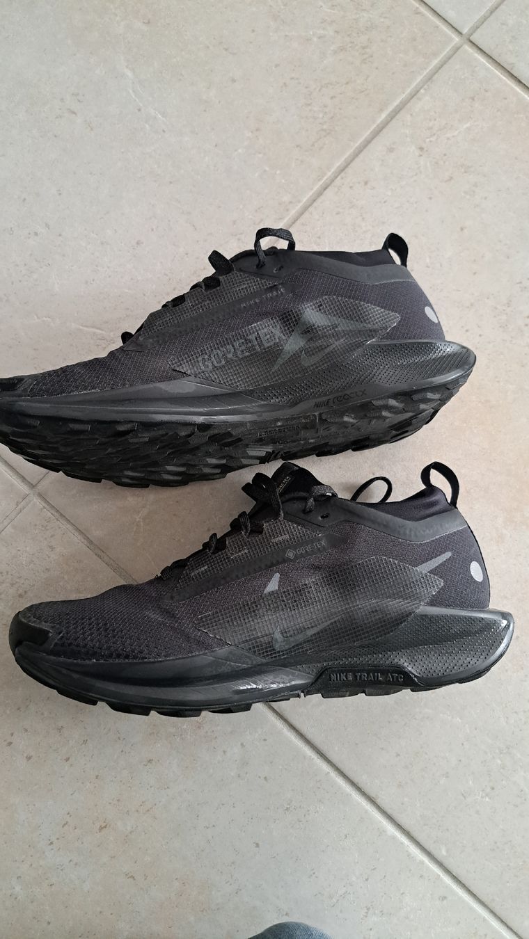 Nike Scarpe da uomo: Nike pegasus gore-tex – Usato da Laufen venduto da mic_k58d 3