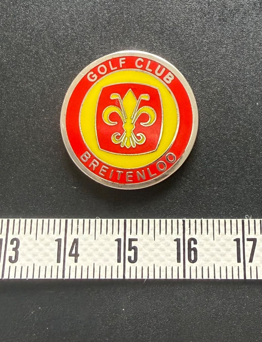 Mazze & Set: Golfball Marker magnetisch, Breitenloo, Durchmesser 2,5 cm – Usato da Zollikon venduto da dorean 1