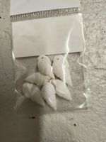 Schmuckelement Anhänger Muschel weiss mit Loch für Kette