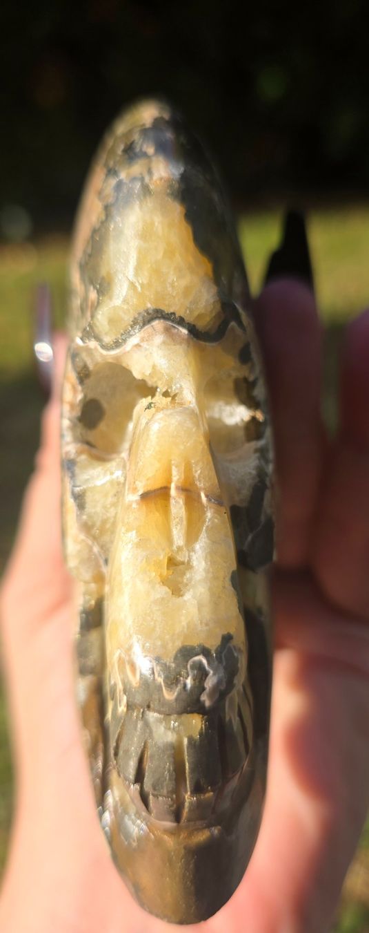 Fossilien: 🐚💀 Ammonit-Schädel Schnitzerei – Neu und originalverpackt aus Matzingen von Shay_Crystalz 3
