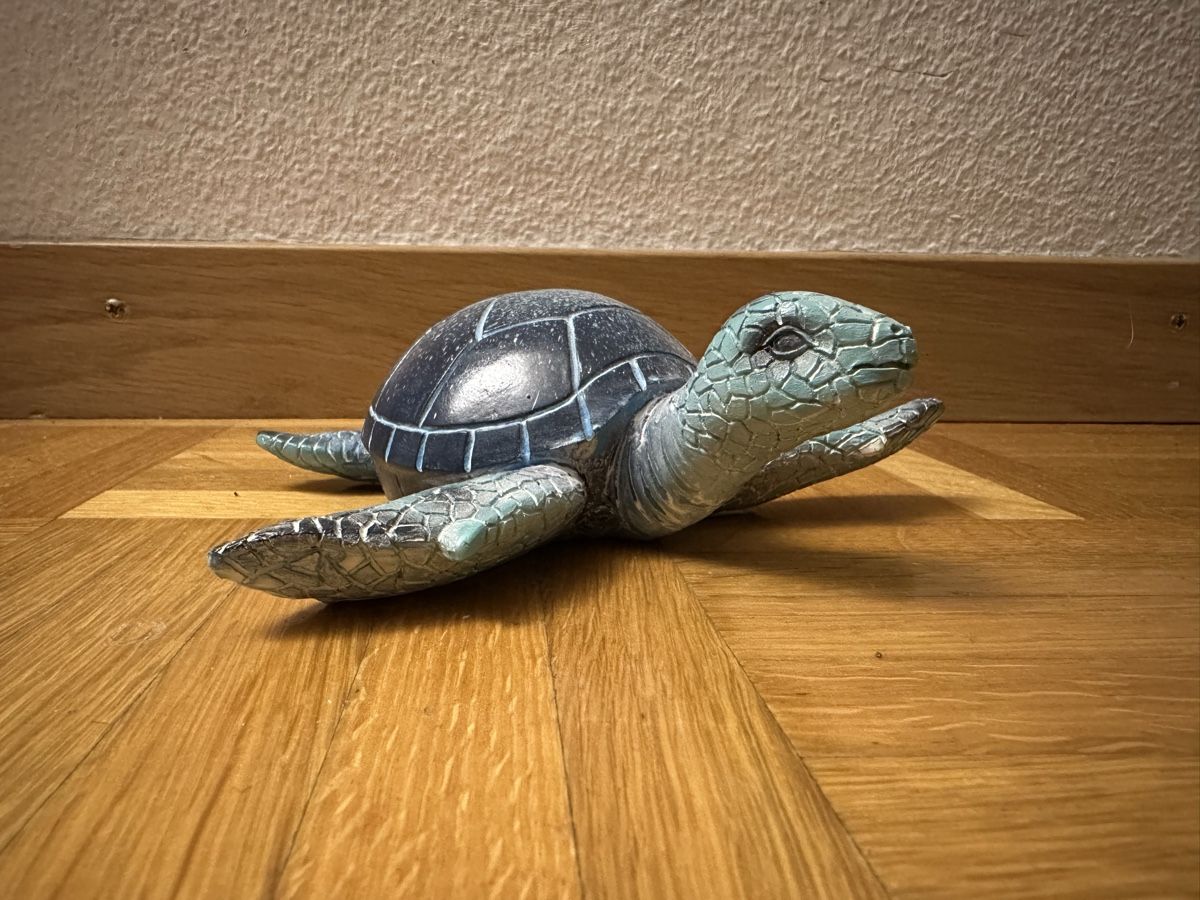 Alle Dekorationen: Dekoration Schildkröte – Gebraucht aus Winterthur von ani_6p9f
