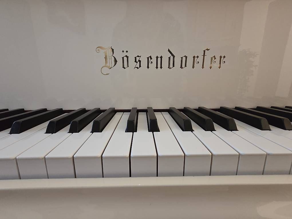 Bösendorfer Strumenti musicali: Bösendorfer 170cm – Usato da Waltensburg/Vuorz venduto da Buddhas 3