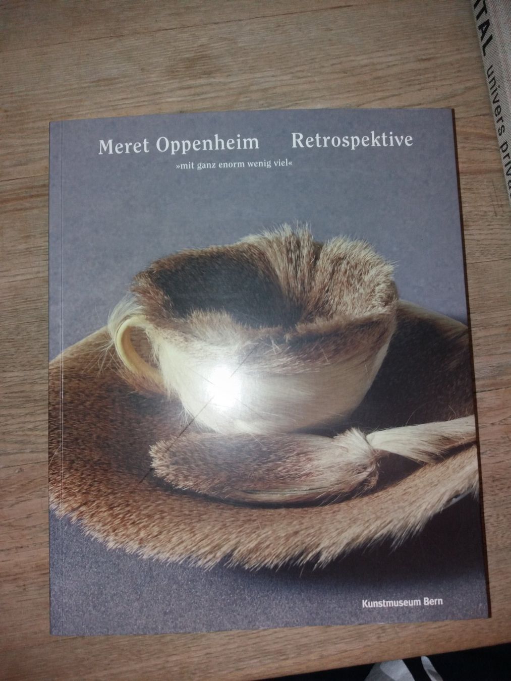 Bücher: KUNSTKLASSIKER Meret Oppenheim – Gebraucht aus Welschenrohr von Regool 8