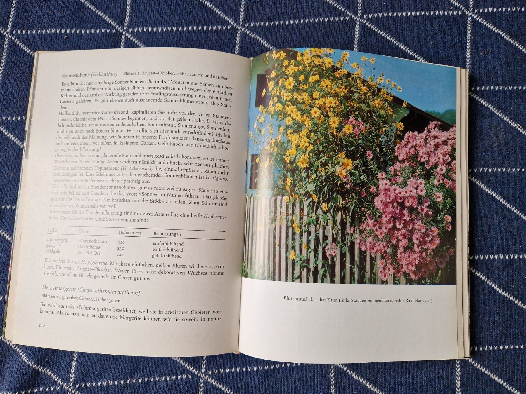 Libri: Buch "Bunte Blütenpracht der Stauden" Martin Stangl – Usato da MUEHLAU venduto da ibo_5c7d 1