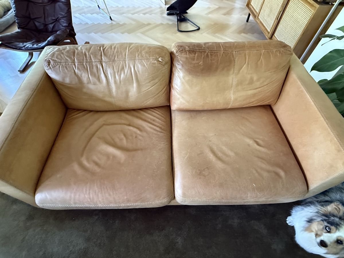 Sofas: Sofa Leder cognac 2-Sitzer gebraucht – D'occasion à Zürich par has_66ry 1