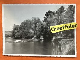 Bad Schinznach Aare-Uferpartie. Rarität