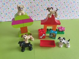 Duplo (Y88) Set Hunde