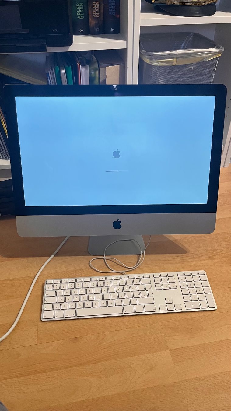 Apple PC: iMac 21.5", Intel Core i5, 8GB RAM, 1TB – Usato da St.Gallen venduto da BRT91